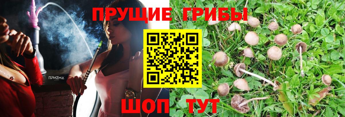 Галлюциногенные грибы прущие грибы Чита