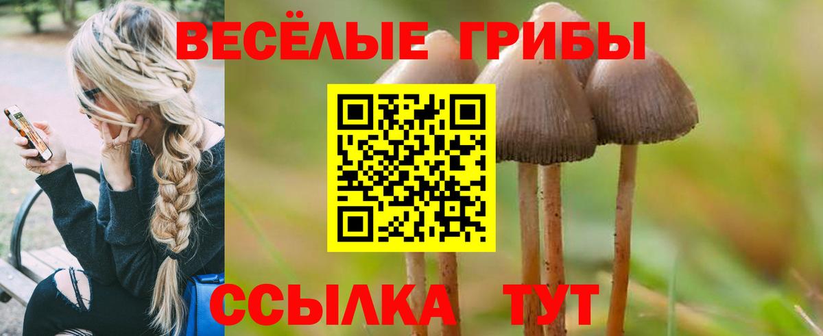 Псилоцибиновые грибы Psilocybine cubensis  Вход с VPN  где продают   Чита 